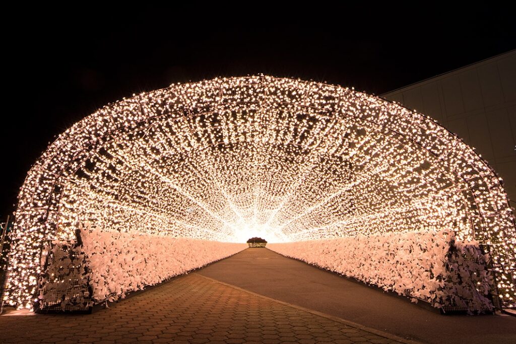 東京メガイルミ