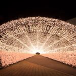東京メガイルミ