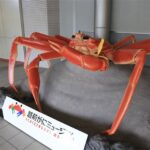 越前がにミュージアム