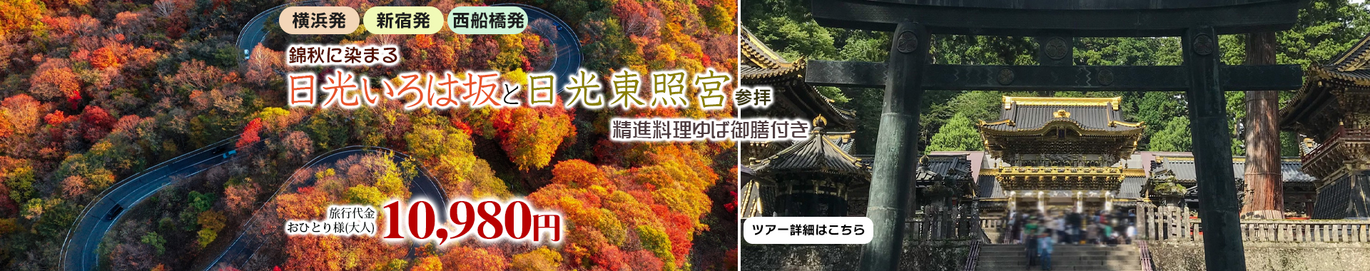 錦秋に染まる日光いろは坂と「日光東照宮」参拝　精進料理ゆば御膳付き