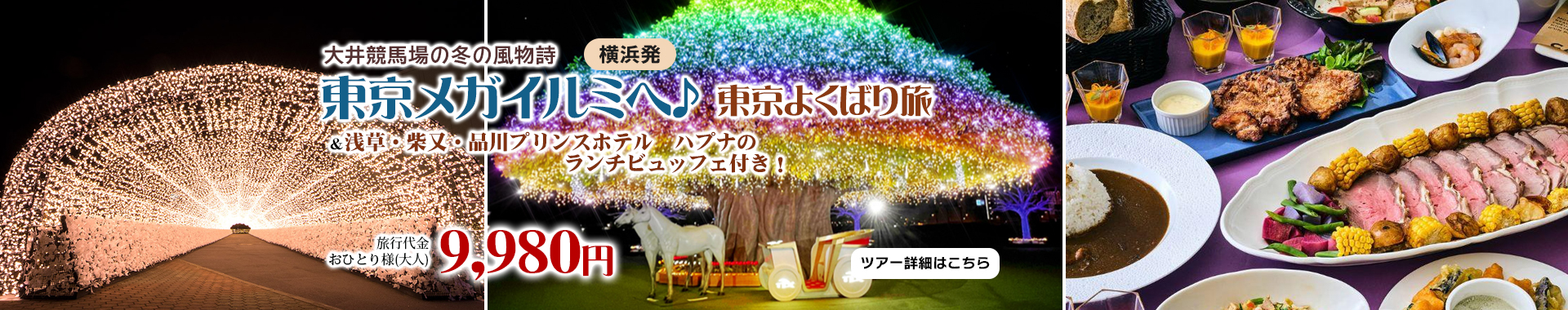大井競馬場の冬の風物詩『東京メガイルミ』へ♪ 浅草・柴又・品川プリンスホテル　ハプナのランチビュッフェ付き！東京よくばり旅