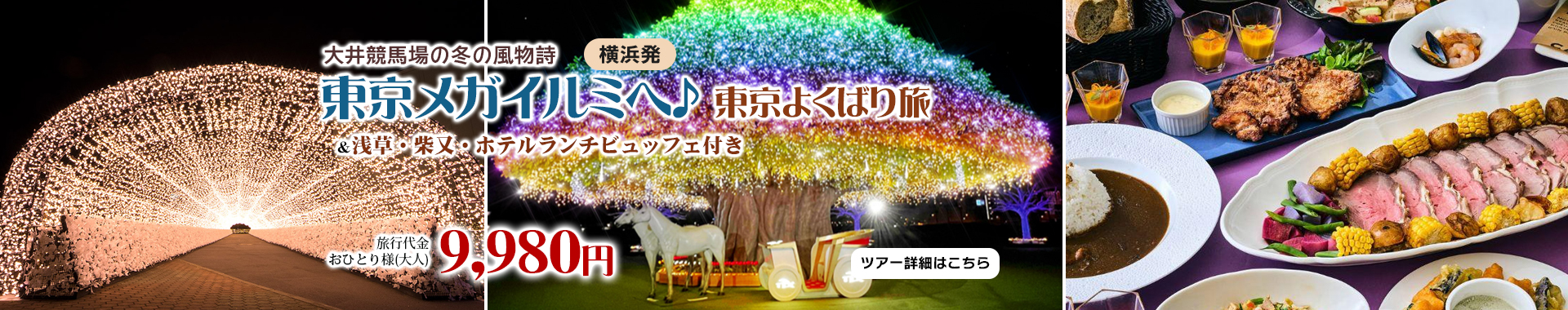 大井競馬場の冬の風物詩『東京メガイルミ』へ♪ 浅草・柴又・ホテルランチビュッフェ付き　東京よくばり旅