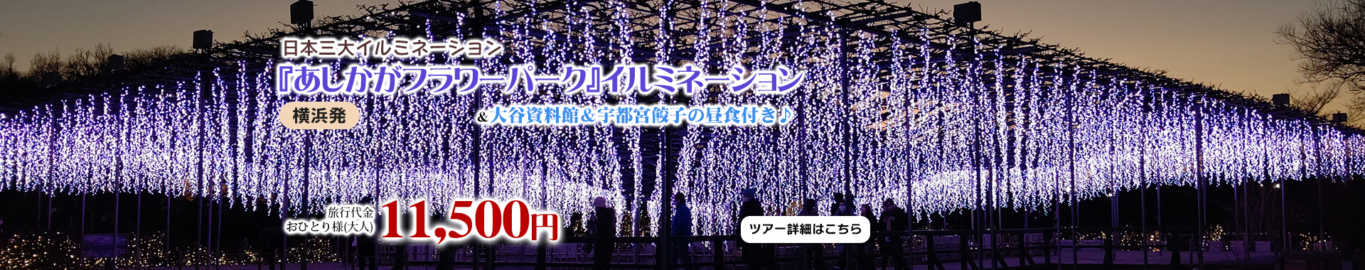 日本三大イルミネーション『あしかがフラワーパーク』イルミネーション＆大谷資料館＆宇都宮餃子の昼食付き♪
