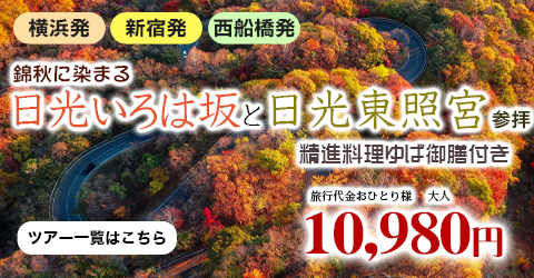 錦秋に染まる日光いろは坂と「日光東照宮」参拝　精進料理ゆば御膳付き