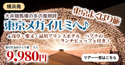 大井競馬場の冬の風物詩『東京メガイルミ』へ♪ 浅草・柴又・品川プリンスホテル　ハプナのランチビュッフェ付き！東京よくばり旅