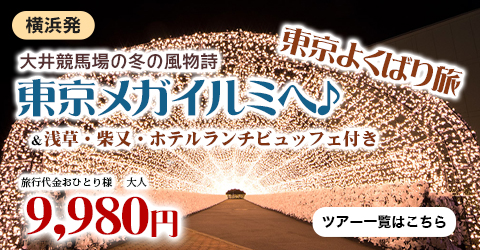 大井競馬場の冬の風物詩『東京メガイルミ』へ♪ 浅草・柴又・ホテルランチビュッフェ付き　東京よくばり旅