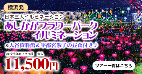 日本三大イルミネーション『あしかがフラワーパーク』イルミネーション＆大谷資料館＆宇都宮餃子の昼食付き♪