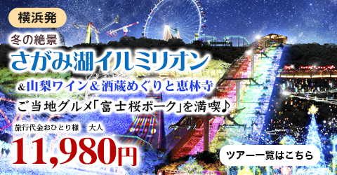 冬の絶景『さがみ湖イルミリオン』！山梨ワイン＆酒蔵めぐりと恵林寺・ご当地グルメ「富士桜ポーク」を満喫♪